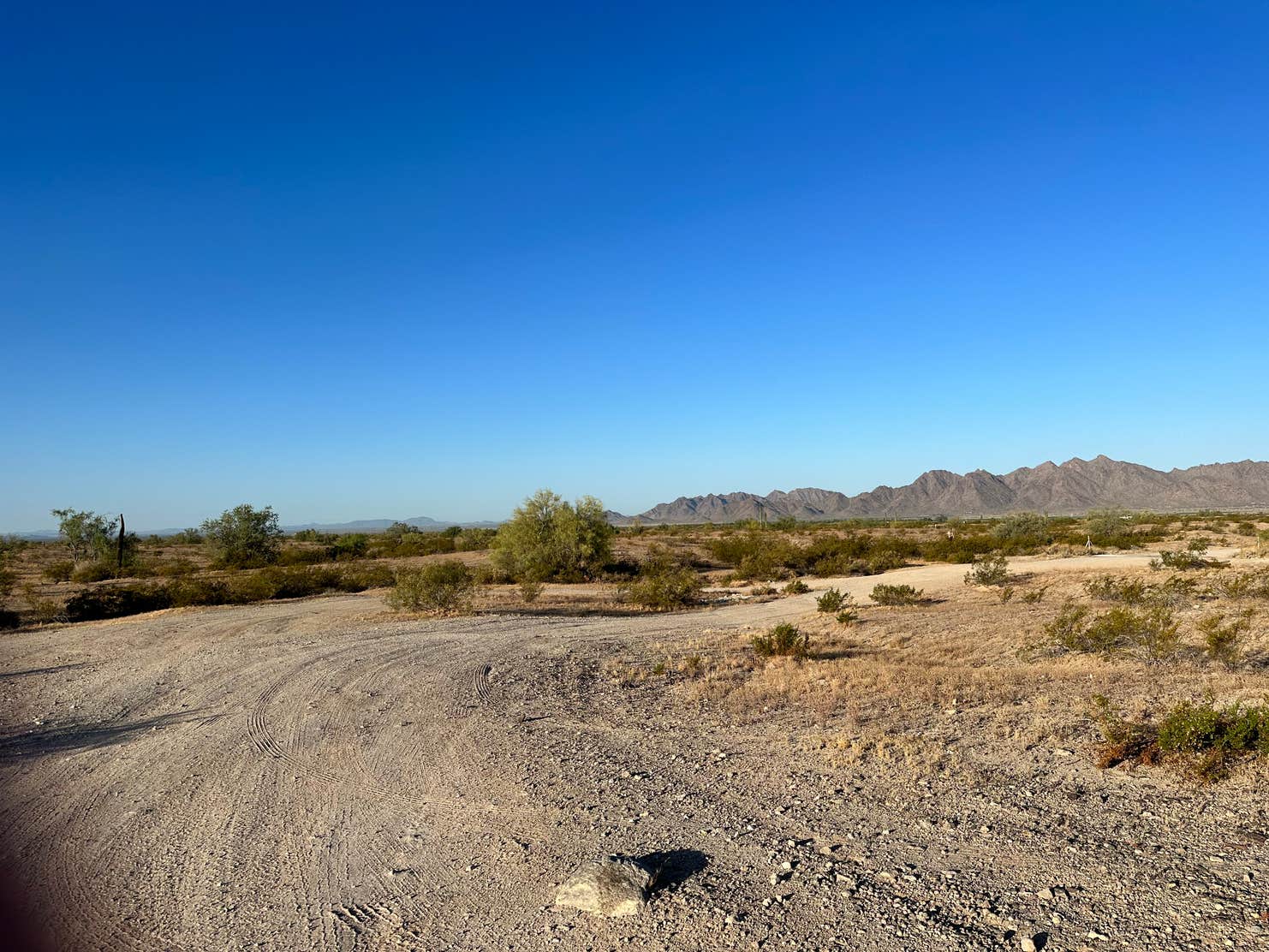 BLM - North Maricopa Mountains Wilderness Camping | Gila Bend, Arizona